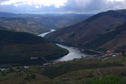 7,5 milhões de euros distribuídos por 30 projectos que visam promover e animar o Douro